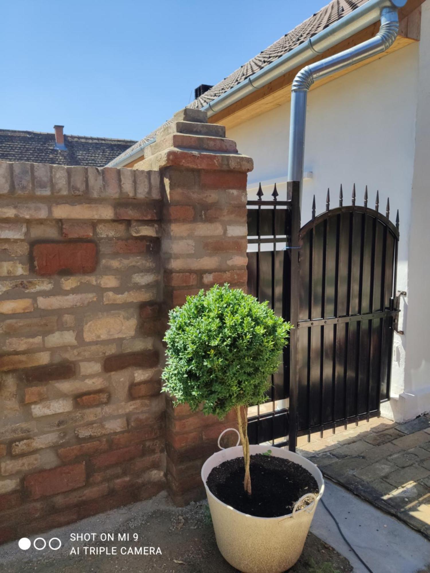 Appartement Biborlak